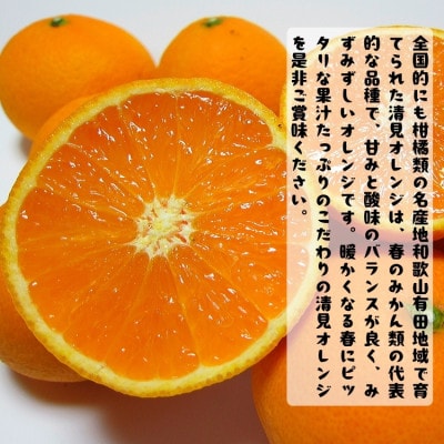 ≪出荷中≫有田育ちのご家庭用 完熟 清見オレンジ 3kg