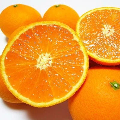 【2025年2月下旬～発送】有田育ちの清見オレンジ(ご家庭用)　約3kg