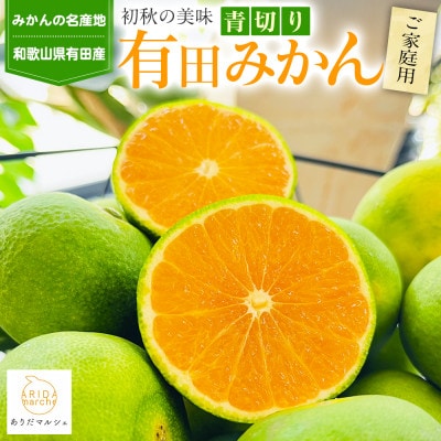 【先行受付・9月～発送】有田育ちのご家庭用青切り有田みかん 10kg