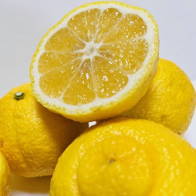 <先行受付>【人気柑橘】特撰 はるかみかん 3kg