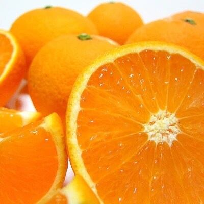 【2025年2月下旬～発送】有田育ちの濃厚清見オレンジ(ご家庭用)　約5kg