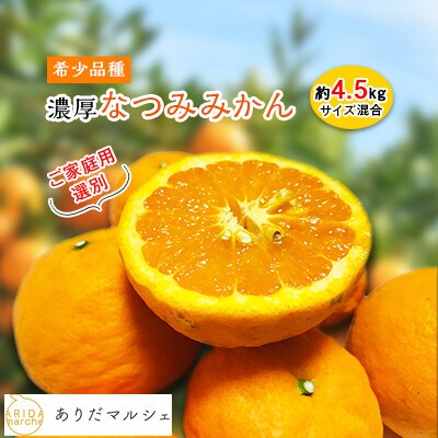 23年4 5月発送 みかん名産地和歌山有田 濃厚なつみみかん ご家庭用 約4 5kg お礼品詳細 ふるさと納税なら さとふる