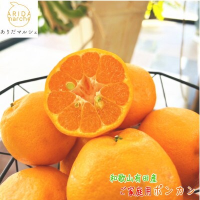 甘さ満点!有田育ちの濃厚ポンカン(ご家庭用)　2kg