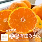 《先行受付・2025年11月～発送》農家直送　完熟有田みかん　3kg　サイズ混合