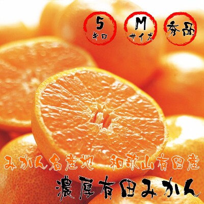 濃厚有田みかん　【秀品】【Mサイズ】　約5kg