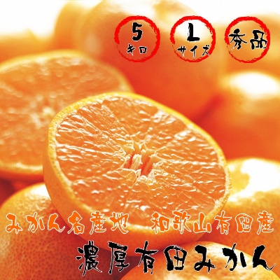 濃厚有田みかん　【秀品】【Lサイズ】　約5kg