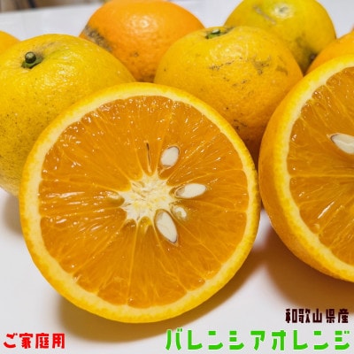 ≪先行予約 2027年6月～発送≫有田育ちの国産バレンシアオレンジ(ご家庭用)　3kg