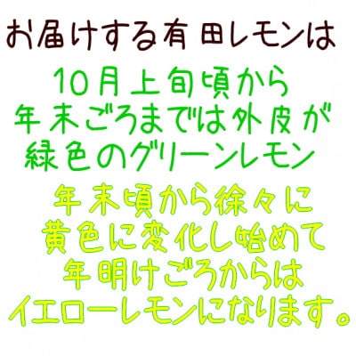 【先行受付 9月下旬～発送】ご家庭用有田レモン　約5kg【ノーワックス・ノー防腐剤】