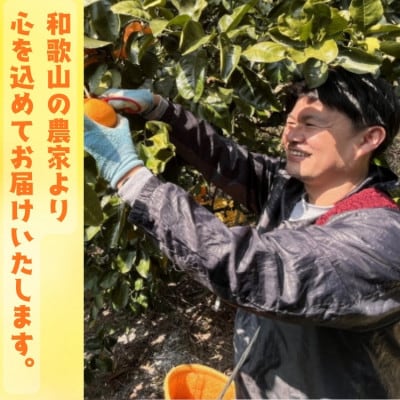 ご家庭用有田レモン　約5kg【ノーワックス・ノー防腐剤】【訳あり】