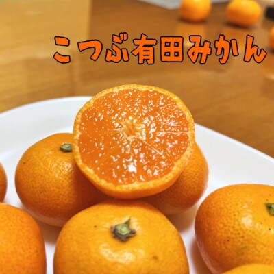 ご家庭用小粒完熟有田みかん 4kg