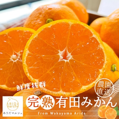 【先行受付 11月～発送】農家直送!完熟有田みかん 2kg