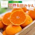 【先行受付 10月～発送】有田育ちのご家庭用完熟有田みかん 1kg+100g