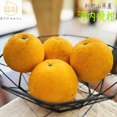 【先行受付】有田育ちの爽やか ご家庭用 河内晩柑　2kg
