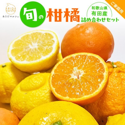 【先行受付】【みかん名産地和歌山有田】有田育ちの旬の柑橘詰め合わせセット 5kg