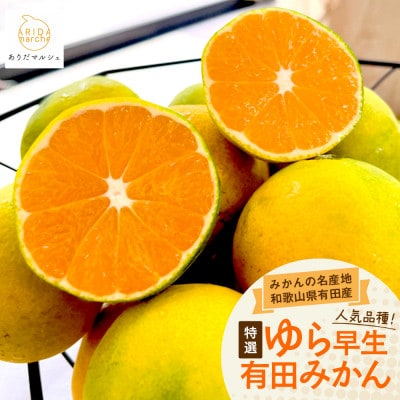 【2025年発送】特撰 ゆら早生有田みかん 2kg