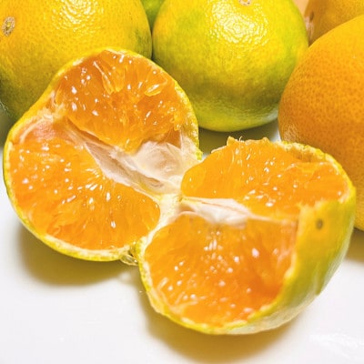 《先行受付・2026年10月発送》特撰 ゆら早生有田みかん 5kg