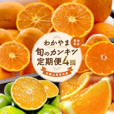 【発送月固定定期便】わかやま旬のカンキツ定期便【M】全4回
