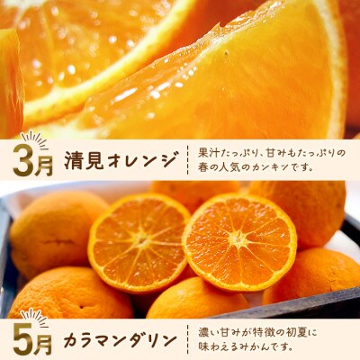 【発送月固定定期便】わかやま旬のカンキツ定期便【M】全4回