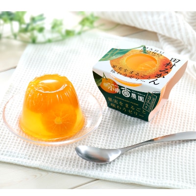 小南農園　田村みかんフルーツまるごとゼリー9個