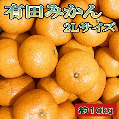 [秀品]和歌山有田みかん10kg大玉(2Lサイズ)「先行受付2026年11月中旬より順次発送」