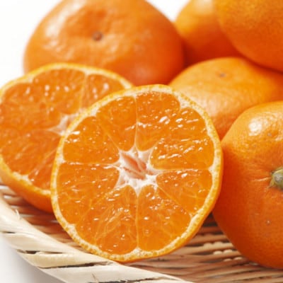 [秀品]和歌山有田みかん10kg大玉(2Lサイズ)「先行受付2026年11月中旬より順次発送」