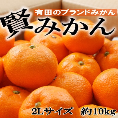 「先行受付2026年11月から発送」[秀品]和歌山有田ブランド「賢みかん」約10kg(2Lサイズ)