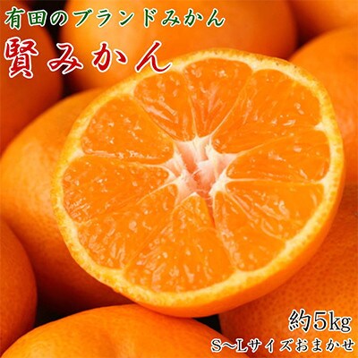 有田ブランド「賢みかん」約5kg(S～L)サイズおまかせ・秀品