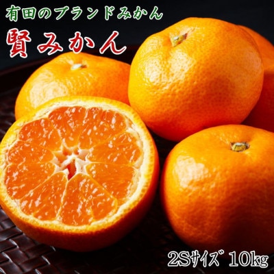 [秀品]和歌山有田ブランド「賢みかん」約10kg(2Sサイズ)