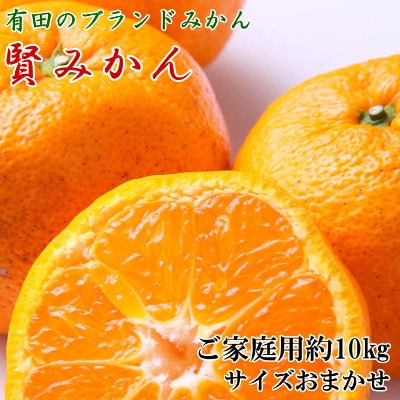 先行受付[ご家庭用]有田ブランド「賢みかん」約10kg(サイズおまかせ)