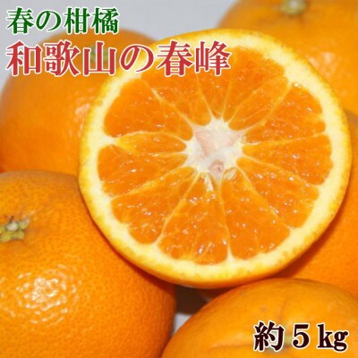 和歌山で生まれた春にぴったりの柑橘「春峰」約5kg