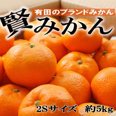 「先行受付2026年11月から発送」【秀品】有田ブランド「賢みかん」5kg(2Sサイズ
