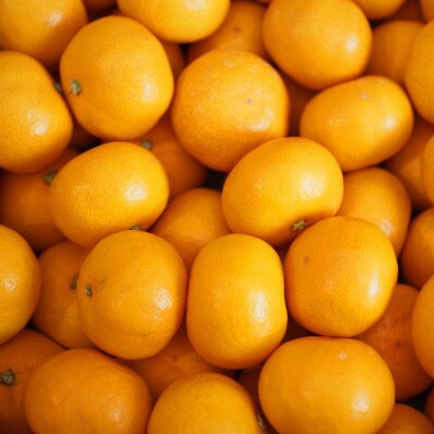 紀州有田みかん5kg (S～Lサイズおまかせ・秀品)　先行受付2026年11月中旬～順次発送