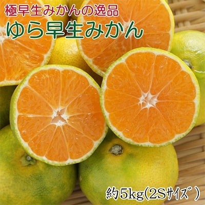 【極早生みかんの逸品】ゆら早生みかん　5kg (2Sサイズ)