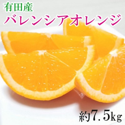 【爽快】有田産バレンシアオレンジ約7.5kg(M～2Lサイズおまかせ)