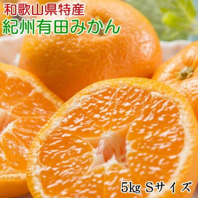 [秀品]和歌山有田みかん約5kg (Sサイズ)「2024年11月中旬より順次発送」