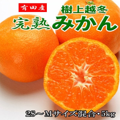 「先行受付2027年1月中旬より発送」有田産樹上越冬完熟みかん約5kg(2S～Mサイズ混合・秀品)