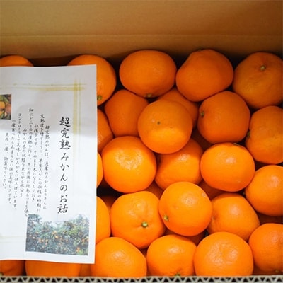 【濃厚・まろやか】有田産樹上越冬完熟みかん約5kg(2S～Mサイズ混合・秀品)(湯浅町)
