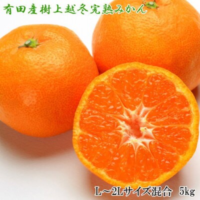 【濃厚・まろやか】有田産樹上越冬完熟みかん約5kg(L～2Lサイズ混合・秀品)(湯浅町)