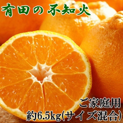 【濃厚】有田の不知火約6.5kgご家庭用向け(サイズ混合)【湯浅町】