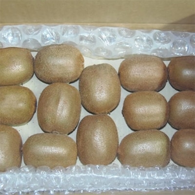 【1月より順次発送】有田でとれた完熟キウイフルーツ約2kg(M～3Lサイズ混合)