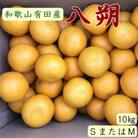 【湯浅町】【手選果】有田産の八朔約10kg(SまたはMサイズいずれかお届け)