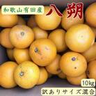 【湯浅町】【手選果・訳あり】有田産の八朔約10kg(サイズ混合)