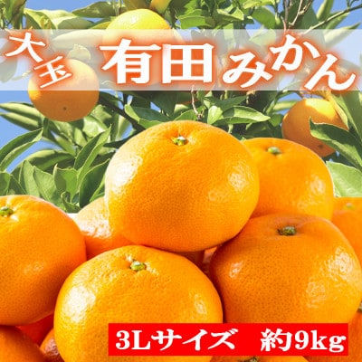 【秀品・食べごたえ十分】有田みかん大玉約9kg(3Lサイズ)　先行受付2026年11月中旬～順次発送