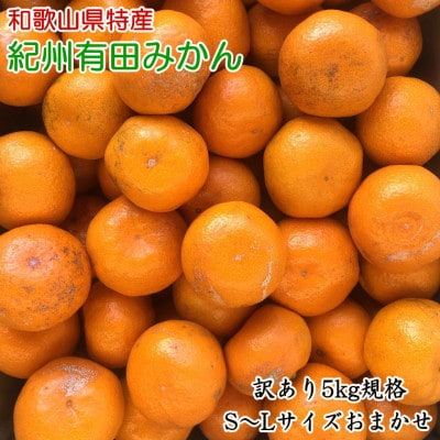 [訳あり]紀州有田みかん約5kg(S～Lサイズ)　「2025年11月中旬より順次発送」【湯浅町】