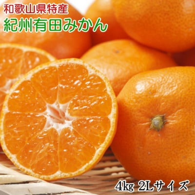 [秀品]和歌山有田みかん約4kg大玉(2Lサイズ)(湯浅町)