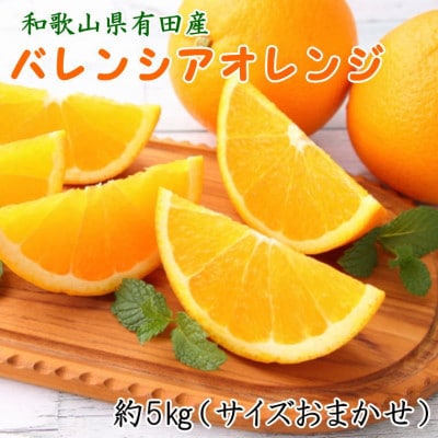 和歌山有田産バレンシアオレンジ約5kg(M～3Lサイズおまかせ)(湯浅町)