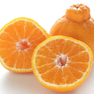 【濃厚】有田産不知火約4kg(M～3Lサイズ混合)(湯浅町)