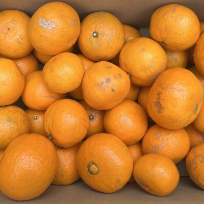 【春みかん】和歌山有田(湯浅町産)カラマンダリン約5kg(サイズ混合　ご家庭用)