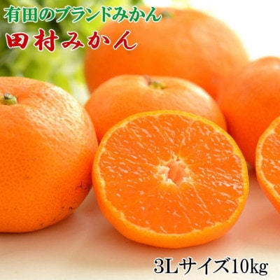 数量限定【ブランドみかん】田村みかん 約10kg (3Lサイズ)