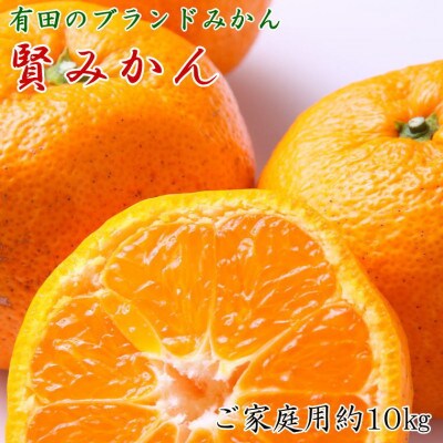 [ご家庭用]有田ブランド「賢みかん」約10kg(サイズ混合)